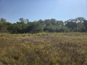     vând 557mp teren intravilan ciocanesti      - imagine 3