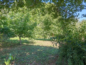 Casă în Râșnov - zona Eminescu, teren 1000 mp. - imagine 9