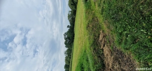 Terenuri intravilane alăturate 30 ari si 21 ari ideal casa sau arabil