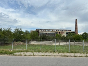 Vand hala cu front la strada principala