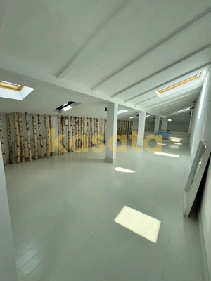 Închiriere vilă interbelică, Piata Victoriei,  renovată complet - imagine 11