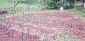 INDISPONIBIL - Teren intravilan 800 mp - Moroasa - imagine 2