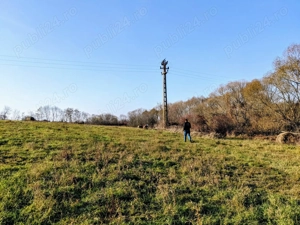 1,5 Ha Teren Industrial la Sarand, jud. Bihor - imagine 4