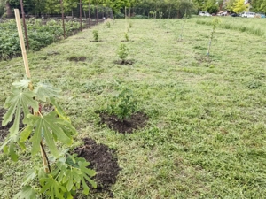 Casă cu 3 camere în Battonya, Ungaria - imagine 7