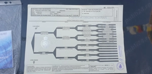 Ciobanesc corb  - imagine 5