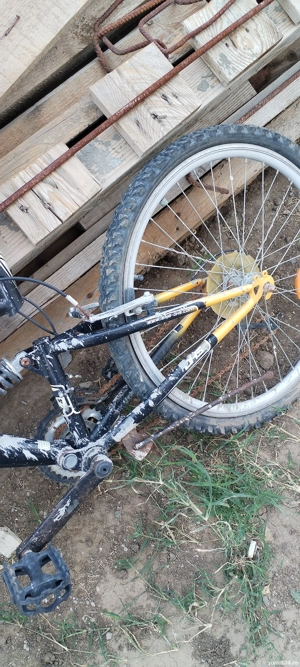 Bicicleta a fost murdărita de zugraveala 