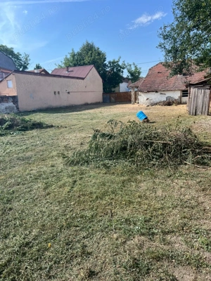 Teren Timisoara, Fratelia, str. Herculane, 1406mp, FS=20m, casa veche, com=0% - imagine 4