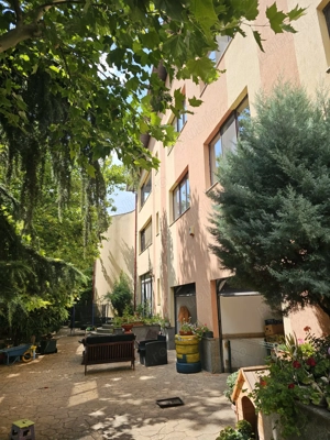 Vand vila in com Pantelimon - imagine 9