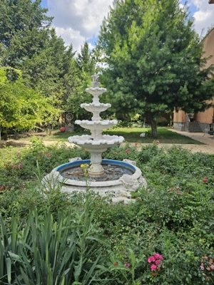 Vand vila in com Pantelimon - imagine 10