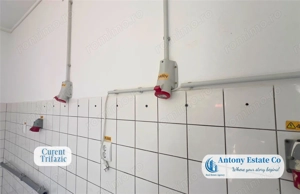 Spatiu comercial de inchiriat, Rogerius, Oradea - imagine 12