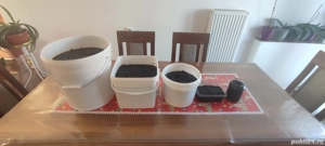 Vand magiun de prune 