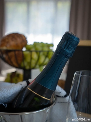 Regim Hotelier Doamna Ghica   - imagine 4