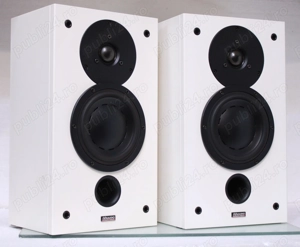 Boxe raft Dynaudio Audience42W(2x70W Rms).