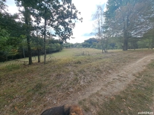 Teren 15826 mp + padure 1 ha - imagine 9