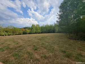 Teren 15826 mp + padure 1 ha - imagine 7