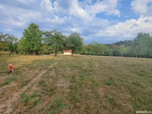 Teren 15826 mp + padure 1 ha - imagine 8