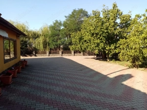 Proprietate de vanzare 3690 mp curți construcții cu balta populată  - imagine 7