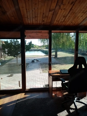 Proprietate de vanzare 3690 mp curți construcții cu balta populată  - imagine 5