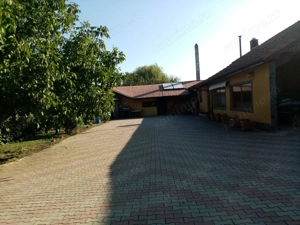 Proprietate de vanzare 3690 mp curți construcții cu balta populată  - imagine 4