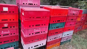 Vand lazi plastic carne ,diverse