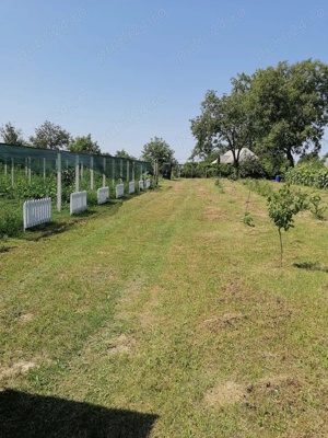 Teren intravilan arabil