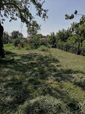 Teren intravilan arabil - imagine 6