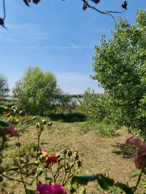 Vand teren  si cabana pe malul lacului de la Pischia. Un front la lac altul la 30m de padure - imagine 6