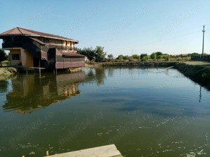 vand casa pensiune cu helesteu aproape de Timisoara-locatie excelenta!