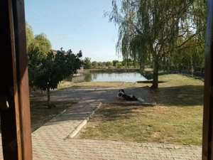 Proprietate de vanzare 3690 mp curți construcții cu balta populată  - imagine 9