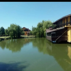 Proprietate de vanzare 3690 mp curți construcții cu balta populată