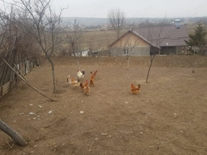 Vând casă în sat Băcești, comuna Băcești, județul Vaslui - imagine 8