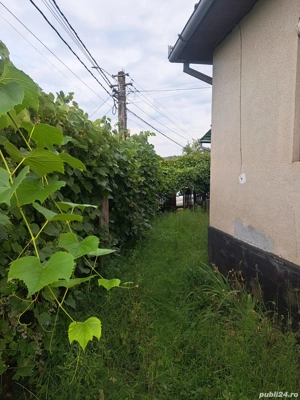 Casă + teren 1400 mp în Gâlgău, Sălaj   3 camere, anexe, zonă verde, 20 km de Dej - imagine 6