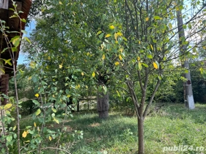 Casă la țară, zonă pitorească - imagine 5