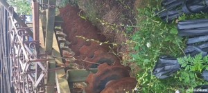 disc si plug u445  - imagine 4