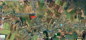 Teren de Vânzare – Periș, Ilfov, 5007 mp - imagine 2