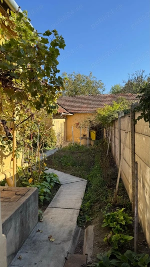 Casa  + spatiu comercial Or. Pancota zona centrala PRET REDUS CU 15% - imagine 3