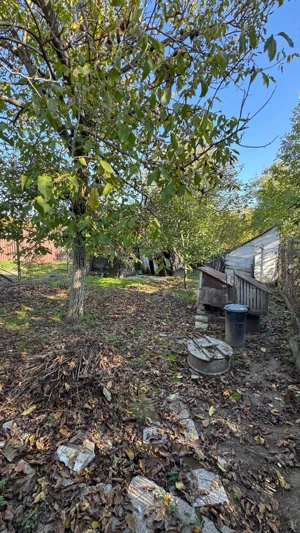 Casa  + spatiu comercial Or. Pancota zona centrala PRET REDUS CU 15% - imagine 7