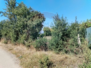 Teren 1,035mp Roznov / Strada Șes - imagine 6