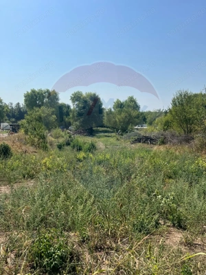 Teren de vanzare / 2,500 mp pe Malul Lacului Tancabesti /Ilfov - imagine 2