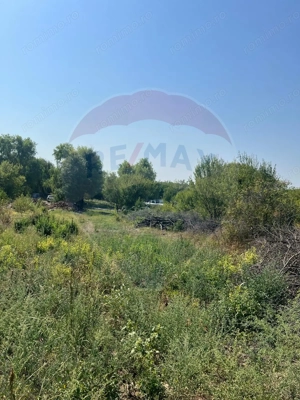 Teren de vanzare / 2,500 mp pe Malul Lacului Tancabesti /Ilfov - imagine 5