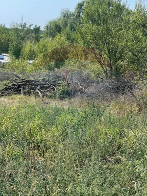 Teren de vanzare / 2,500 mp pe Malul Lacului Tancabesti /Ilfov - imagine 9