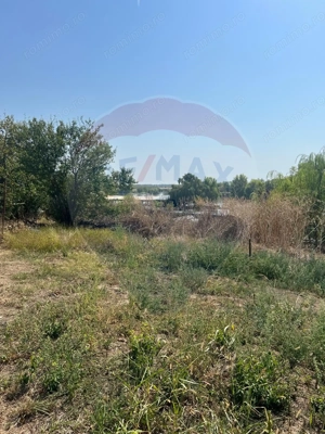 Teren de vanzare / 2,500 mp pe Malul Lacului Tancabesti /Ilfov - imagine 11