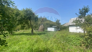 Teren de vanzare Baia Mare / Strada Firiza