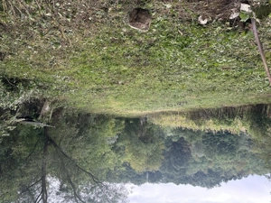 Casă de vânzare  - imagine 9 Casă de vânzare  - imagine 9