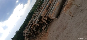 lemne de foc și transport gratuit 