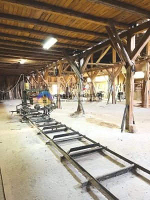 CASA + HALĂ  comuna ALEXANDRU cel BUN - imagine 12