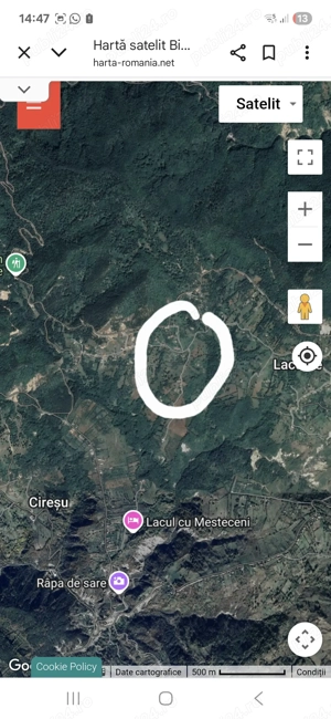 Casa bătrâneasca, teren, livadă pomi fructiferi  - imagine 2