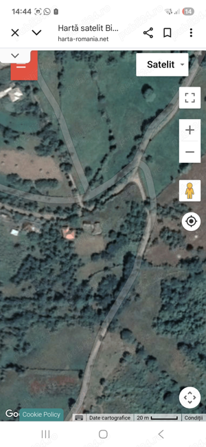 Casa bătrâneasca, teren, livadă pomi fructiferi  - imagine 3