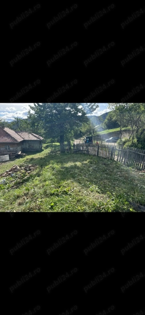 Casa bătrâneasca, teren, livadă pomi fructiferi  - imagine 5
