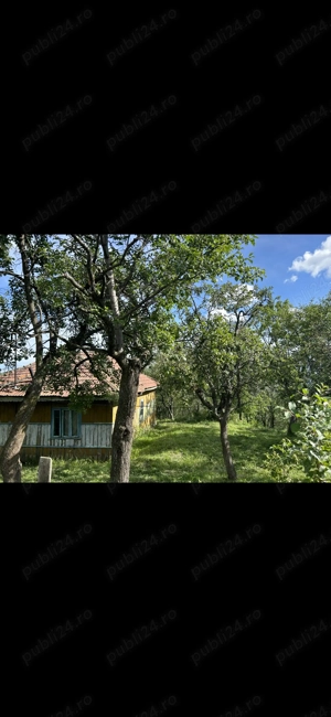 Casa bătrâneasca, teren, livadă pomi fructiferi  - imagine 8